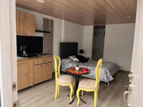 W living 203